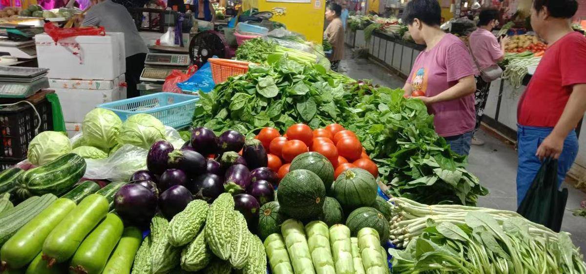 菠菜软件怎么下载